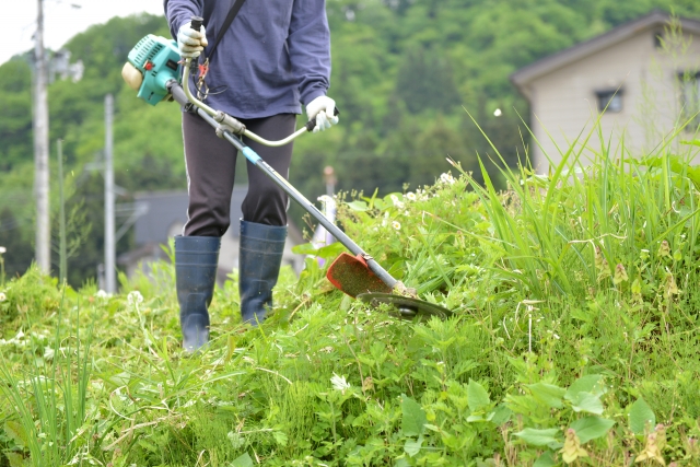 酒田市で草刈りに最適な年3回の時期～楽に草刈りを終えるコツまで徹底解説
