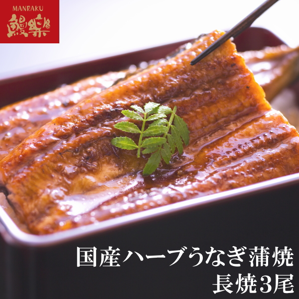 【限定3名さま】国産ハーブうなぎ蒲焼 長焼3尾