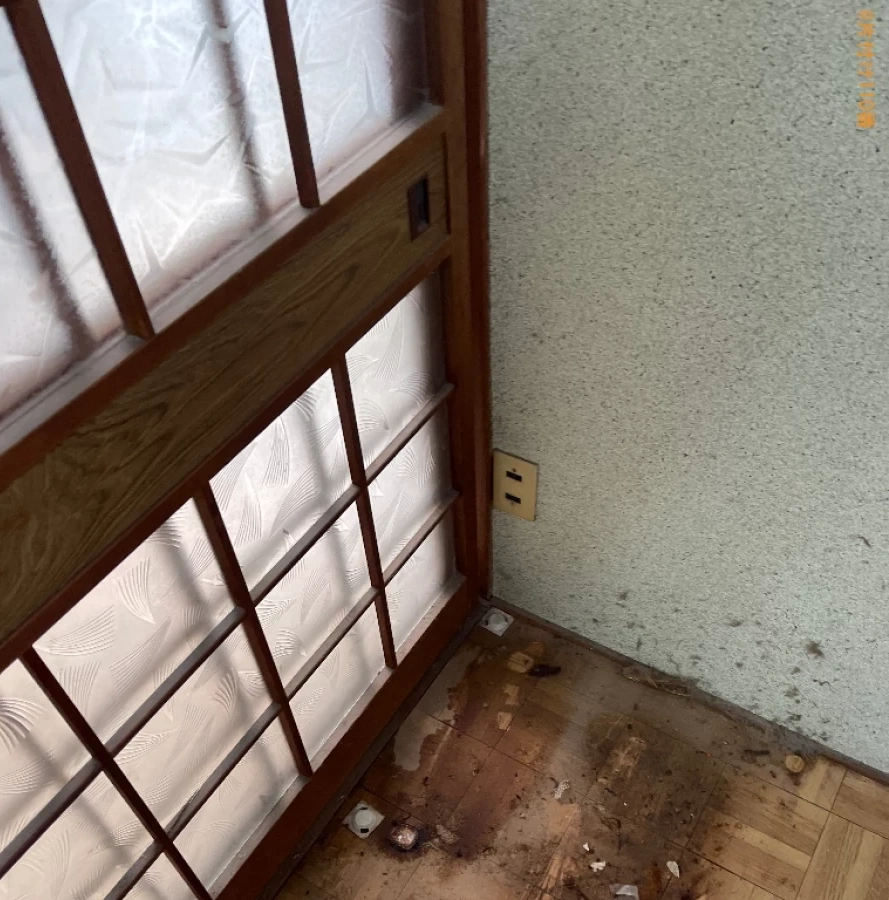 冷蔵庫、洗濯機、こたつ、タンス、食器棚、ラック、下駄箱等の回収
