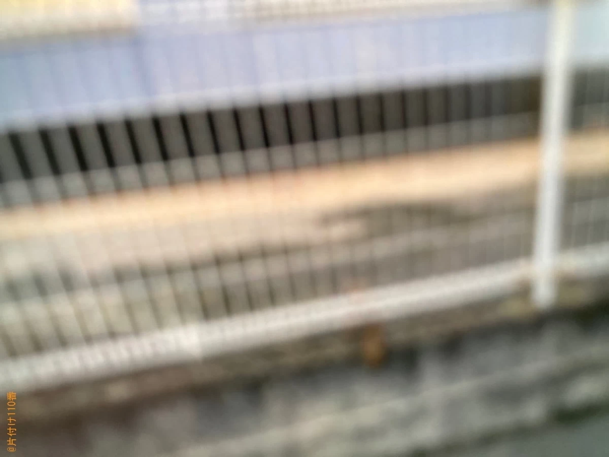 洗濯機の回収・処分ご依頼　お客様の声