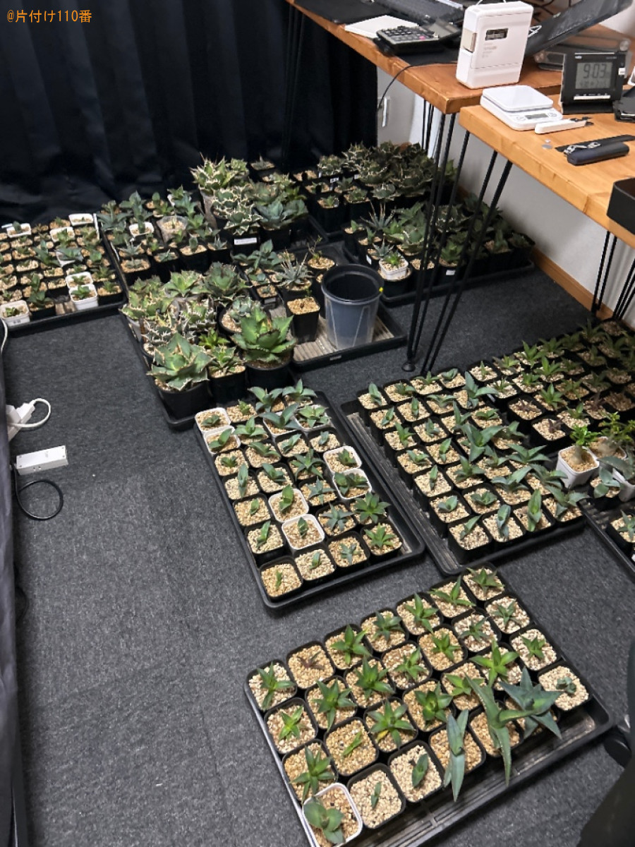 観葉植物、園芸用土、植物育成ライト、スチールラック等の回収・処分